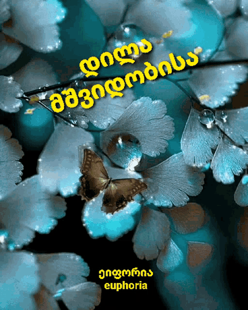 a butterfly is sitting on a flower with the words euphoria in yellow