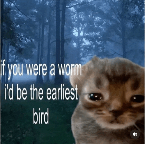 a picture of a sad cat with the words if you were a worm i 'd be the earliest bird
