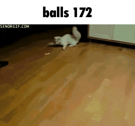 a cat is playing with a toy on a wooden floor and the text balls 172 is above it