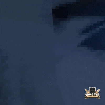a screenshot of a video game that says megbry
