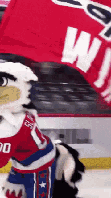a mascot wearing a jersey with the number 1 on it