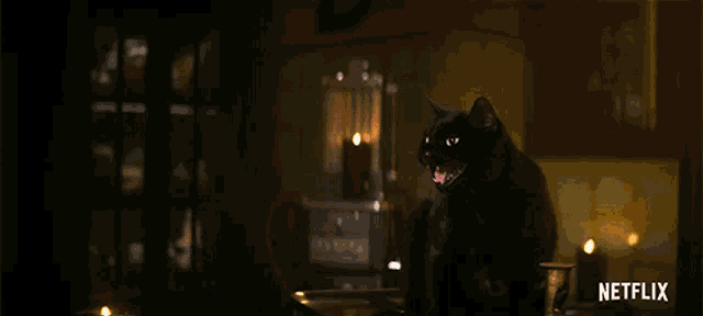 a black cat is sitting in a dark room with a netflix logo in the background