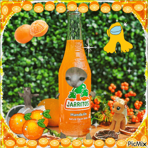 a bottle of jarritos mandarin natural flavor soda surrounded by oranges