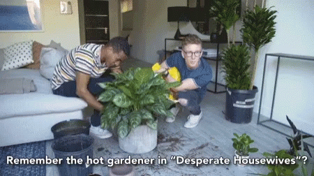 Remember The Hot Gardener In Desperate Housewives Remember That GIF - Remember The Hot Gardener In Desperate Housewives Remember That Gardening GIFs