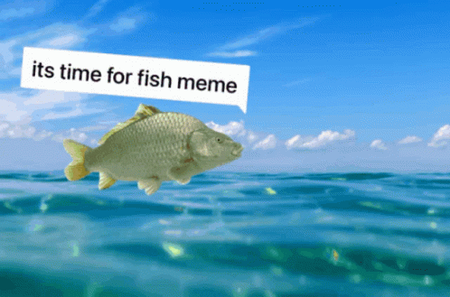 Fish Kkoaf_f GIF - Fish Kkoaf_f Meme GIFs