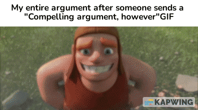 My Entire Argument My Entire Argument After GIF - My Entire Argument My Entire Argument After GIFs
