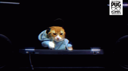 Drumming Pug Dj Cat GIF - Drumming Pug Dj Cat Party GIFs