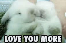 Bunnies Love You More GIF - Bunnies Love You More Cuddling GIFs