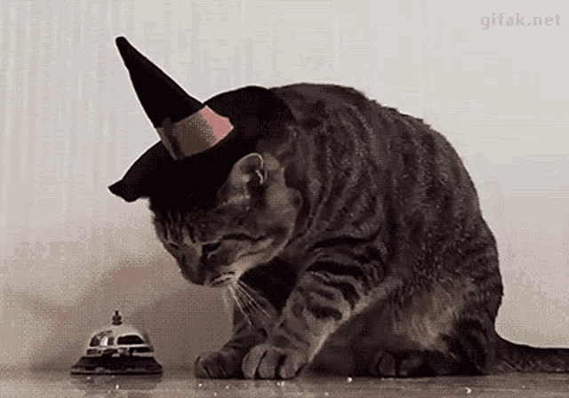 Cat Ring Bell GIF - Cat Ring Bell Service GIFs