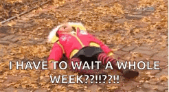 a child is laying on a pile of leaves on the ground .