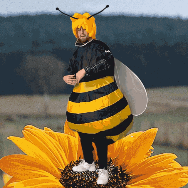 Bee Dancing GIF - Bee Dancing GIFs