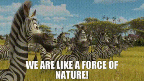 Madagascar Zebra GIF - Madagascar Zebra We Are Like A Force Of Nature GIFs