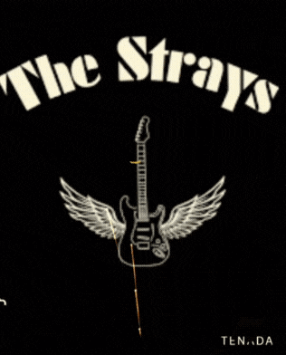 a poster for the strays shows a guitar with wings and fireworks in the background