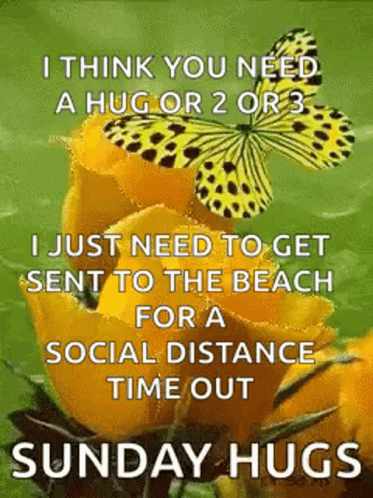 Butterfly Yellow Rose GIF - Butterfly Yellow Rose I Think You Need A Hug GIFs