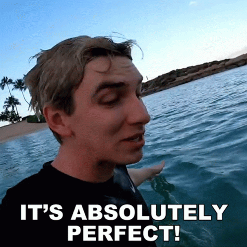Its Absolutely Perfect Stephen Sharer GIF - Its Absolutely Perfect Stephen Sharer Splendid GIFs