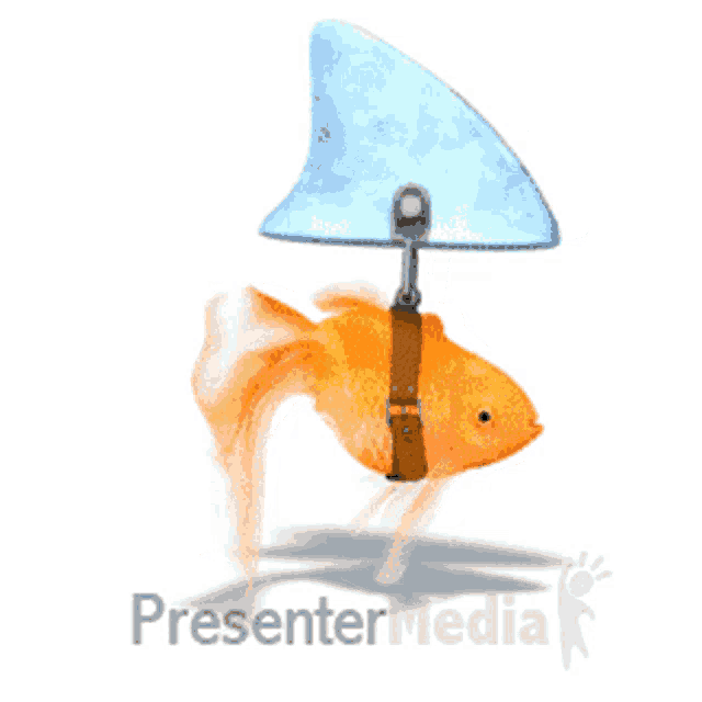a goldfish with a shark fin attached to its head and the words presentermedia below it