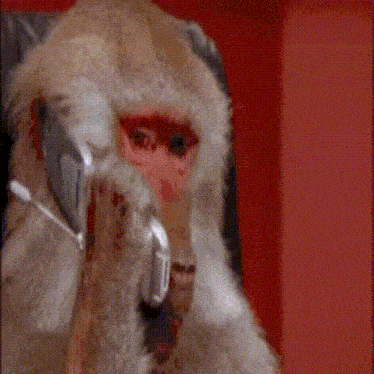 a stuffed monkey is talking on a phone