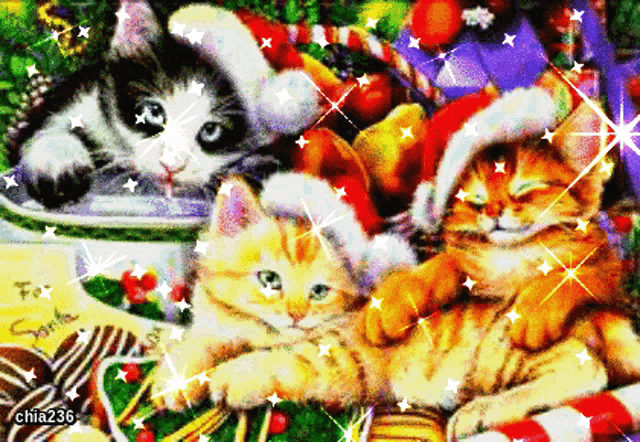 two kittens wearing santa hats are laying on a christmas scene