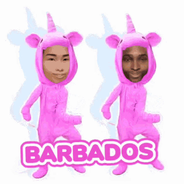 a man and a woman are dancing in a pink unicorn costume .