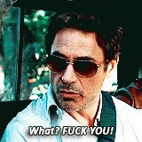 Robert Downey Jr Fuck You GIF - Robert Downey Jr Fuck You Due Date GIFs