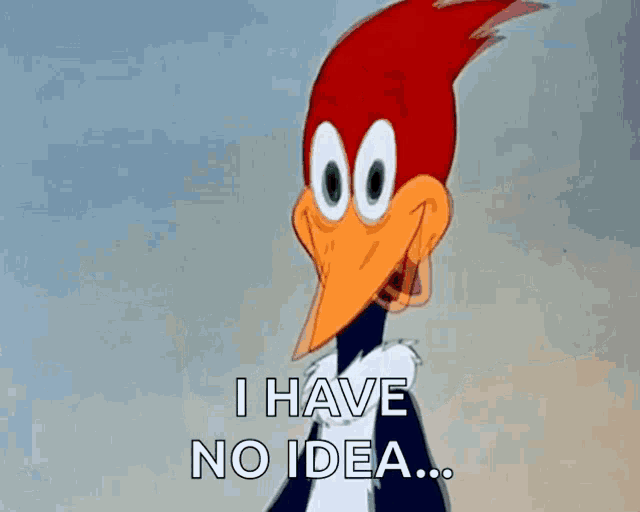 woody woodpecker is a cartoon character that says `` i have no idea ... ''