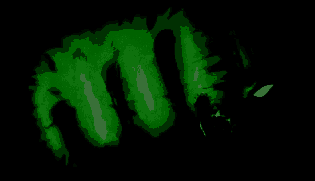 a black background with a glowing green outline