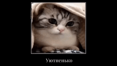 a cat is hiding under a blanket in a frame with russian writing on it
