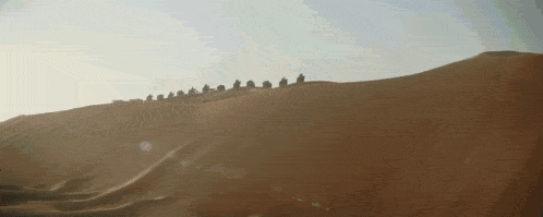 a group of people riding camels down a sand dune .