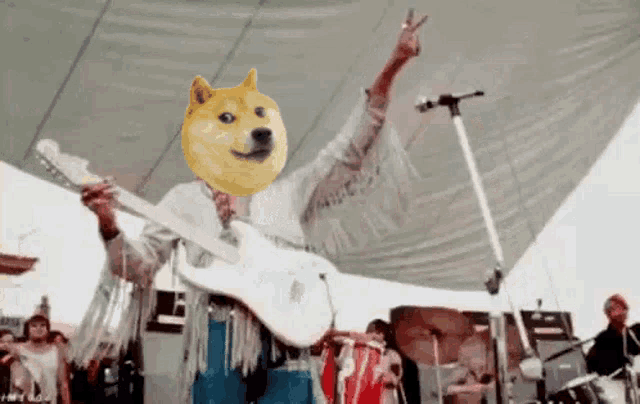 a man is playing a guitar on stage with a doge head on his face .
