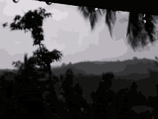 rain drops are falling from the roof of a building .