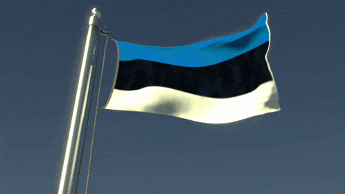 a blue white and black flag is flying in the wind