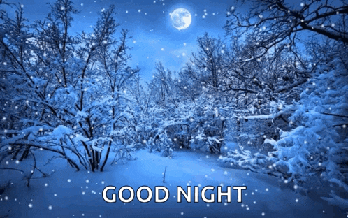 a picture of a snowy forest with the words " good night " below it