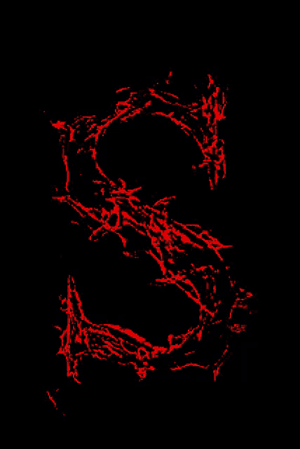the letter s is covered in red paint on a black background
