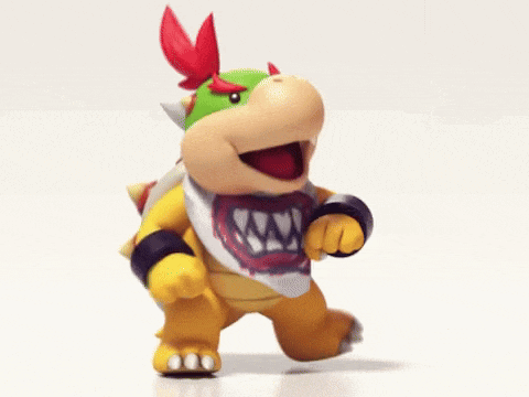 bowser is a cartoon character from the video game mario bros .