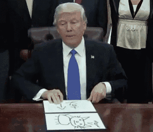 Trumps Kat GIF - Trumps Kat Sketch GIFs