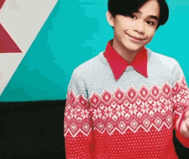 a young boy wearing a red and white sweater and a red collar .