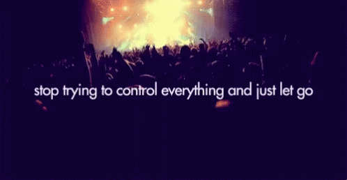 Stop Just Let Go GIF - Stop Just Let Go Party Hard GIFs