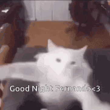 Goodnight Fernando GIF - Goodnight Fernando GIFs