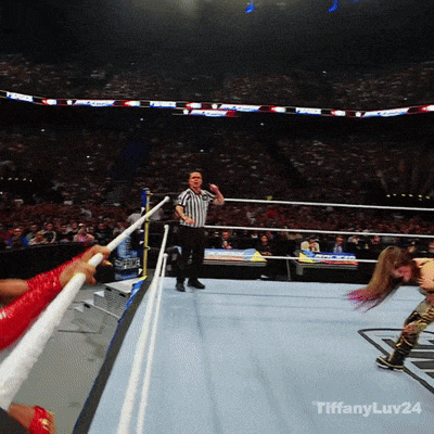 a referee stands in a wrestling ring with tiffanyluv24 written on the bottom right