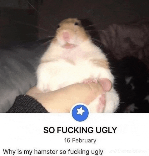 a person is holding a hamster with the words so fucking ugly on the bottom