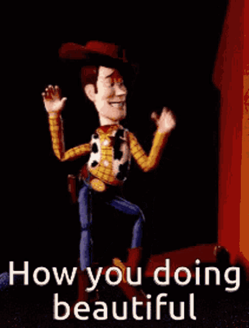 a picture of woody from toy story with the words how you doing beautiful below him