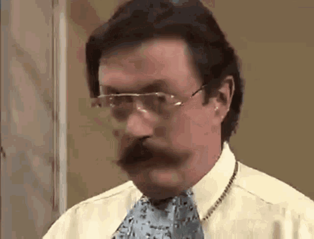 a man with a mustache wearing glasses and a tie .