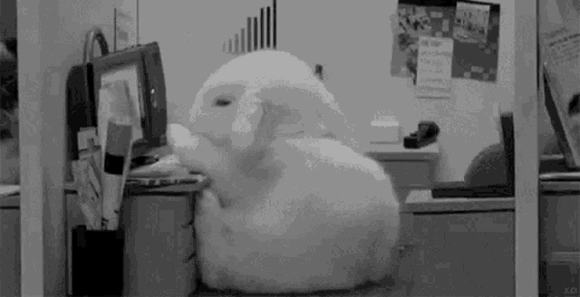 a black and white photo of a white rabbit sitting at a desk in front of a computer .