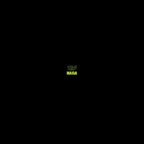 a 3d model of a minecraft dragon with the word naga behind it .