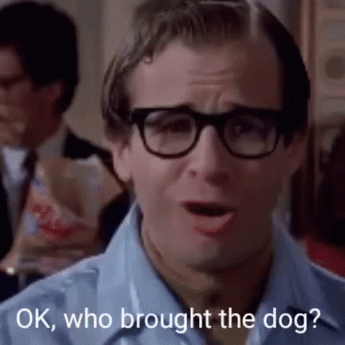 Ghostbusters Who Brought The Dog GIF - Ghostbusters Ghost Who Brought The Dog GIFs