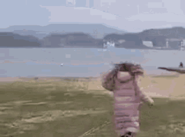 a little girl in a pink coat is running on a beach near a body of water .