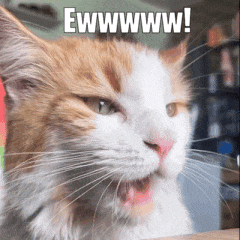 a close up of a cat with the words ewwwwww on the bottom