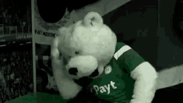 a teddy bear wearing a green payt shirt is standing in front of a crowd .