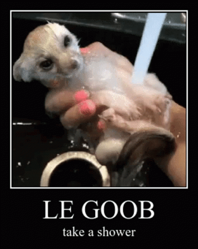 Le Goob Take A Shower GIF - Le Goob Take A Shower Stinky GIFs