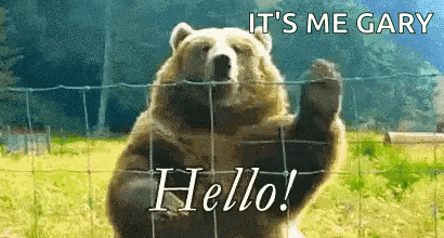 a brown bear is standing behind a barbed wire fence waving its paw .